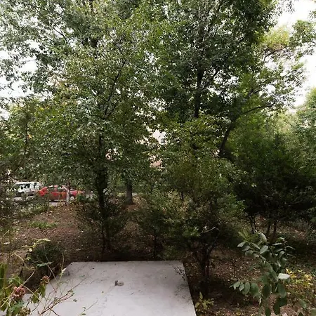 Red Бухарест