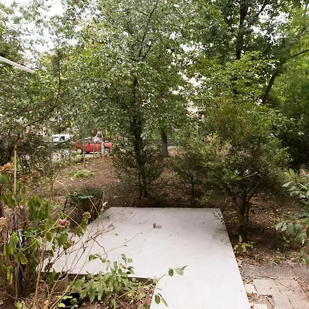 Red Βουκουρέστι